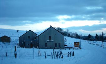 B&B Willow Springs Way Station - Housity