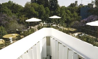 Condesa df, Mexico City, a Member of Design Hotels