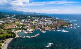 Ocean Log Pension