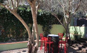 a table and chairs are set up under two olive trees in a garden setting at La Casa Verde