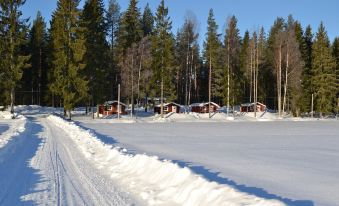 Älgparkens Stugby - Housity