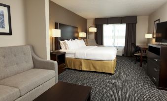 Holiday Inn Express & Suites Omaha South - Ralston Arena