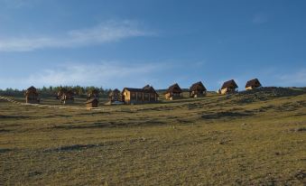 Toynak - Guest Houses - Campsite
