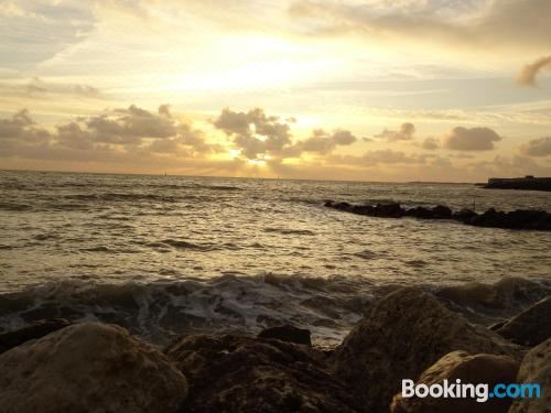 豪华特大床一室房