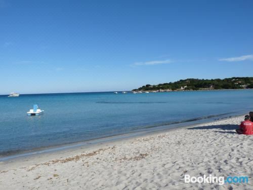 一室公寓錯層式
