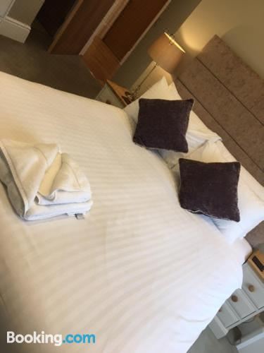 Llys yr Onnen Deluxe Apartment