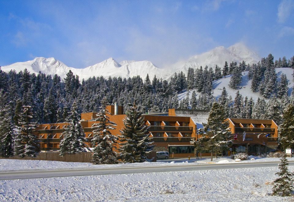a large hotel surrounded by snow - covered trees , with a mountainous landscape in the background at Forest Park Hotel