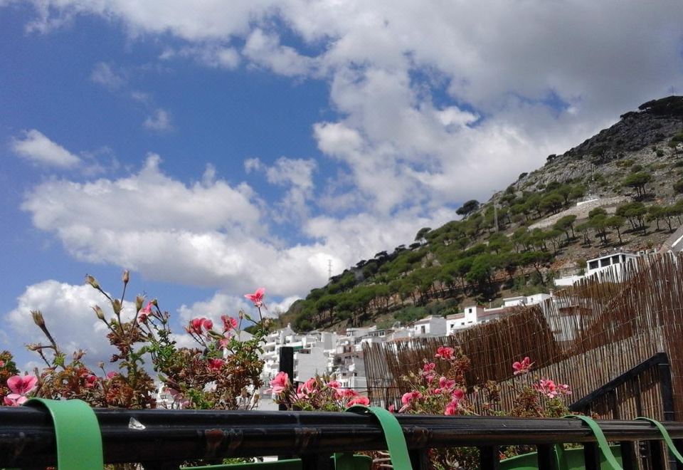 a view of a hillside with houses and flowers on the side , taken from behind a black railing at Casa del Sol