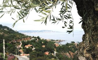 Penthouse Proche Cannes Grand Terrasse Vue Mer