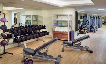 a well - equipped gym with various exercise equipment , including dumbbells , a treadmill , and a weight bench at Tysons Corner Marriott