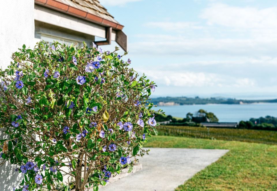 a tree with purple flowers is in the foreground , while a house and a lake are visible in the background at Mudbrick Cottages