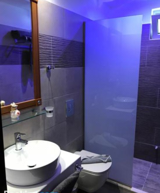 豪华一卧室公寓