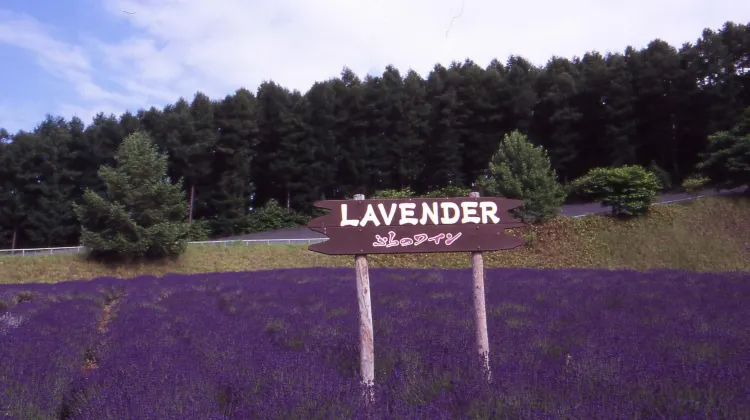 ホテルサンフラトン 施設