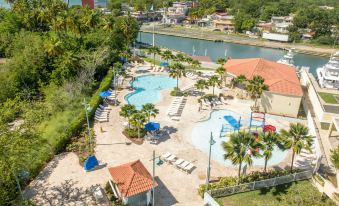 a large outdoor pool area with a blue slide and palm trees surrounding it , located near a body of water at Aquarius Vacation Club at Boqueron Beach Resort