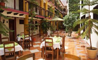 Hotel Jardines Del Carmen