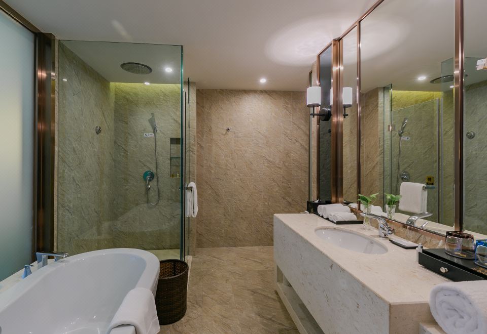 Felton Grand Hotel BazhongSelected Twin Room