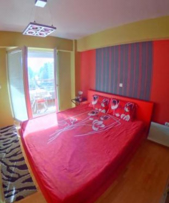 一卧室公寓（带阳台）