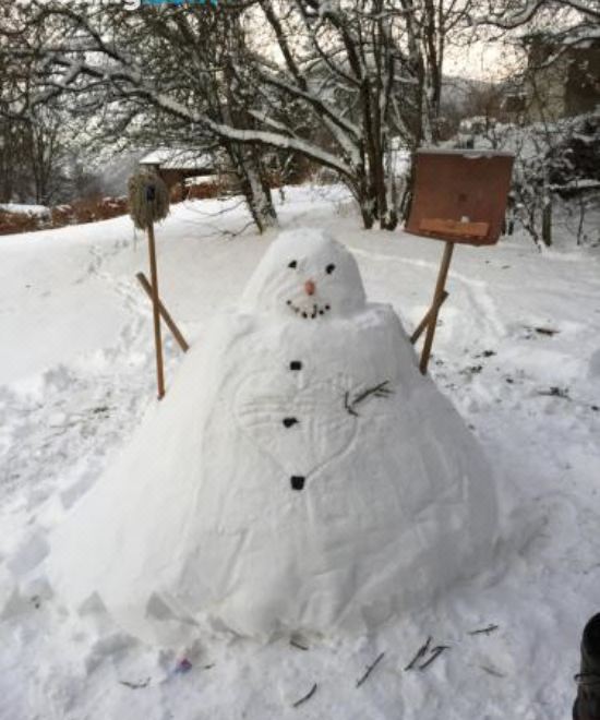 Chalet le Grand Paddock Four Bedrooms Chalet