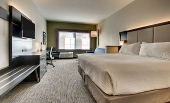 Holiday Inn Express & Suites Charleston NE MT Pleasant US17