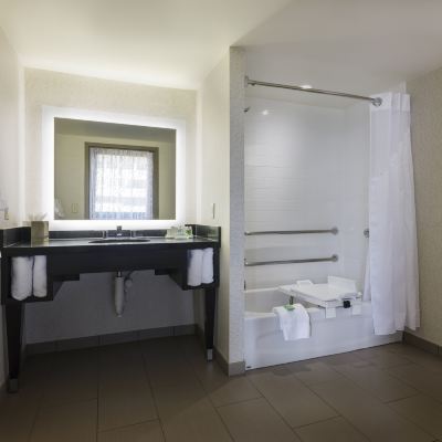 Mobility Accessible Premium King Room with Tub