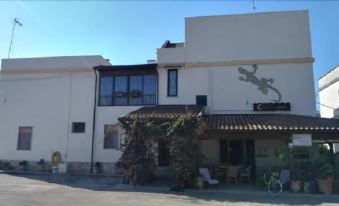 Gecko's House - Housity