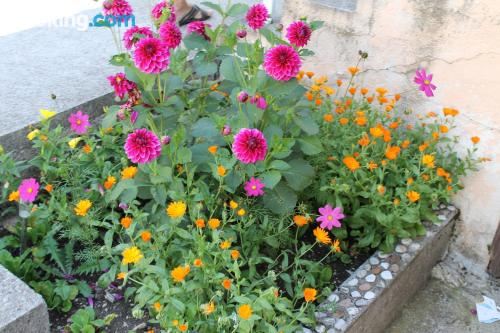 Guest House Milena One-Bedroom Apartment with Garden View