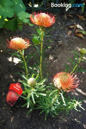 带花园的一室客房