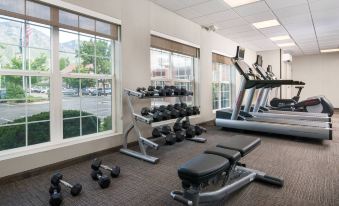 a well - equipped gym with a variety of exercise equipment , including treadmills , weights , and stationary bikes at Residence Inn Provo North