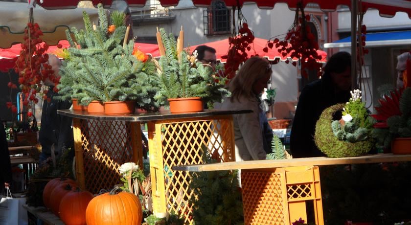 公寓 - Münsterstra?e 8