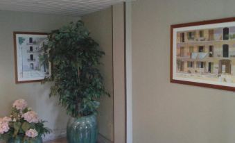 Appartamento Picasso - Housity