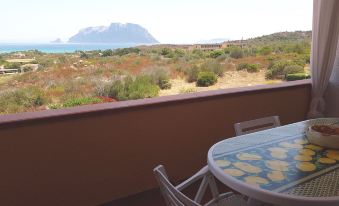 Apartment with One Bedroom in Olbia, with Wonderful Sea View and Enclosed Garden - Near the Beach