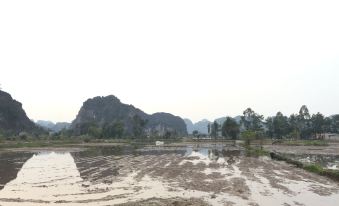 Tam Coc Happy Home