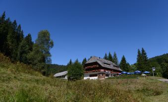 Berghotel Und Restaurant Krauter Chalet