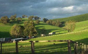 a green field with rolling hills and a wooden fence in the foreground , while trees stand in the background at Holberry House
