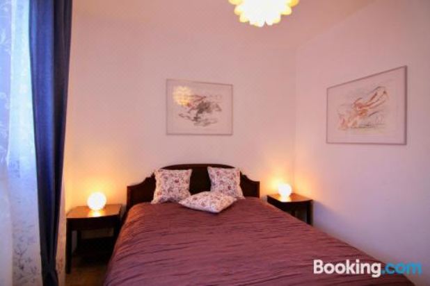 湖景一卧室公寓