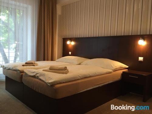 行政双人或双床房