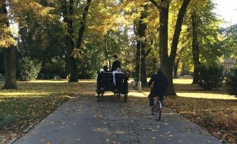 a man riding a bicycle on a path in a park with trees and leaves at Ferienhaus