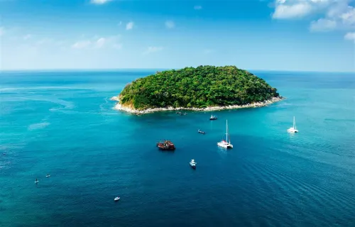 The Elegant Patong