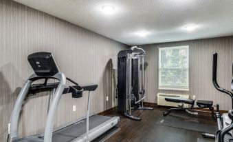 Comfort Inn Rockland - Boston