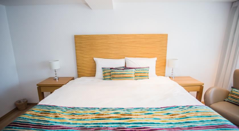 花园景豪华双人间