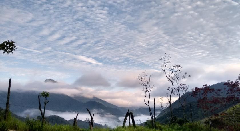 Casa Agaves à Beira Rio - Sítio Terra Surya Holiday Home