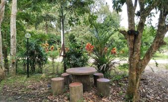 a table with a bench in the middle is surrounded by plants and trees , including a red flower at Chanthaburi Garden Hotel