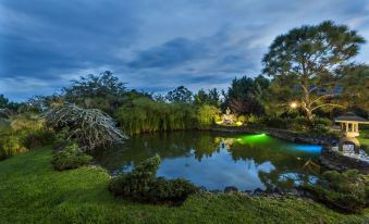 a serene pond surrounded by lush green grass and trees , with a pond reflecting the night sky at Koanze Luxury Hotel & Spa