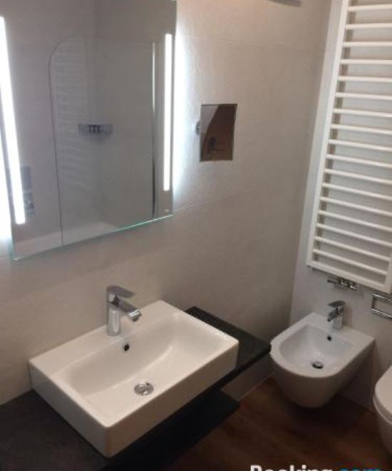 一卧室公寓（带阳台）