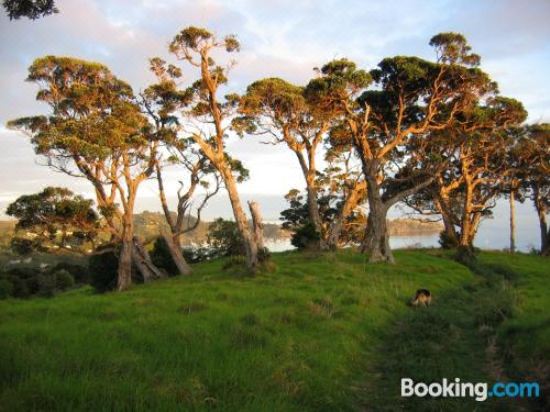The Nikau Loft Apartment with Sea View