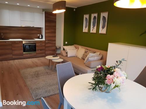 享有花园景致的公寓