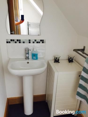 单卧室一室公寓套房