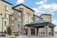 Comfort Suites Hotels in 