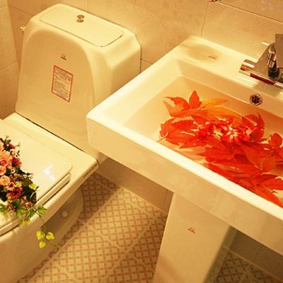 Forest Wind Flower Room 정선 민둥산 하이원 펜션 쿠폰