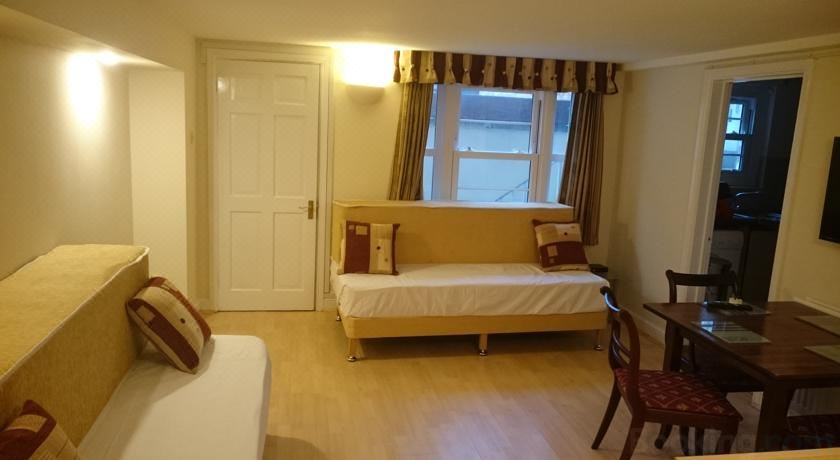 豪华一卧室公寓